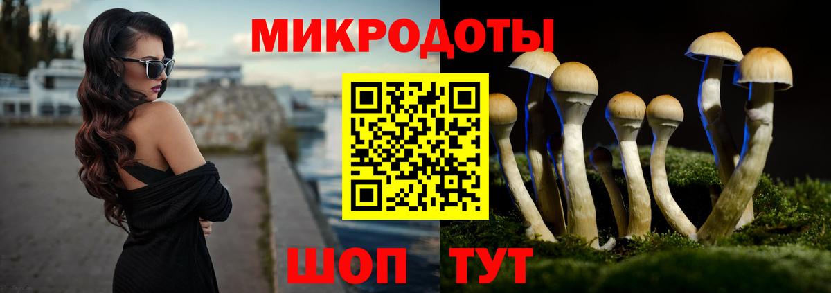 Галлюциногенные грибы Psilocybe Кыштым